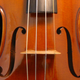 Illustration for article titled Violins strung with spider silk sound incredible
